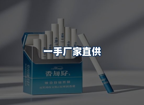 专业团队办公环境